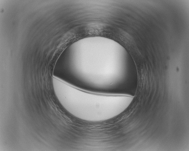 X0000054450228200507290959