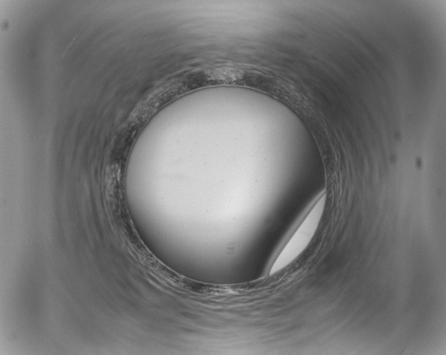 X0000054450229200507290959
