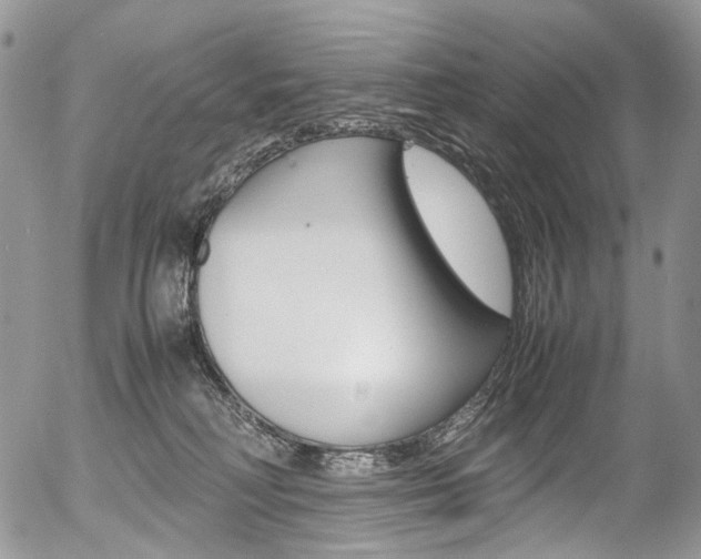 X0000054450230200507290959