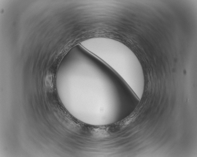 X0000054450232200507290959