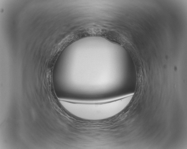 X0000054450233200507290959