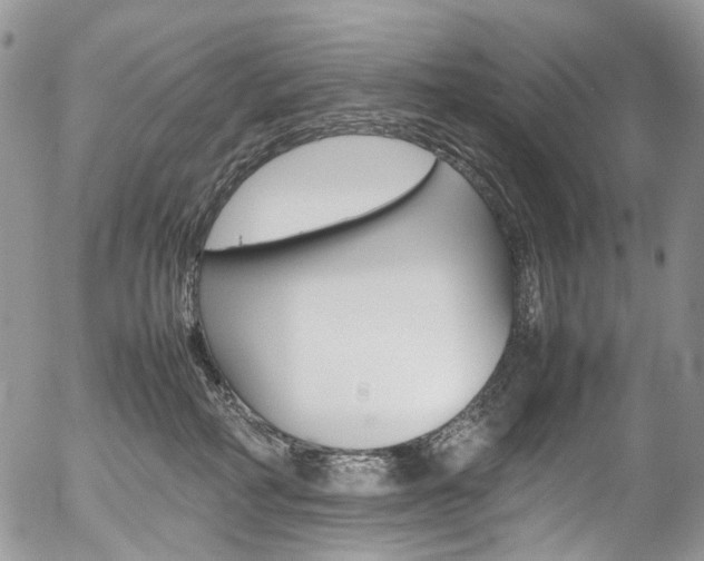 X0000054450234200507290959