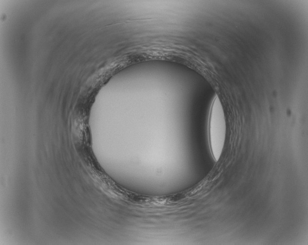 X0000054450235200507290959