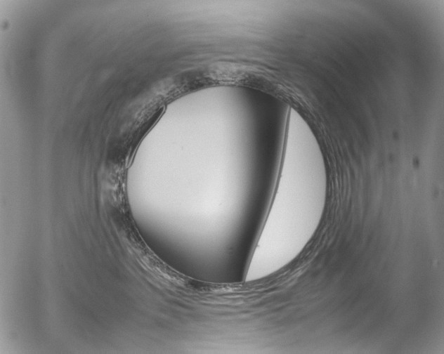 X0000054450237200507290959