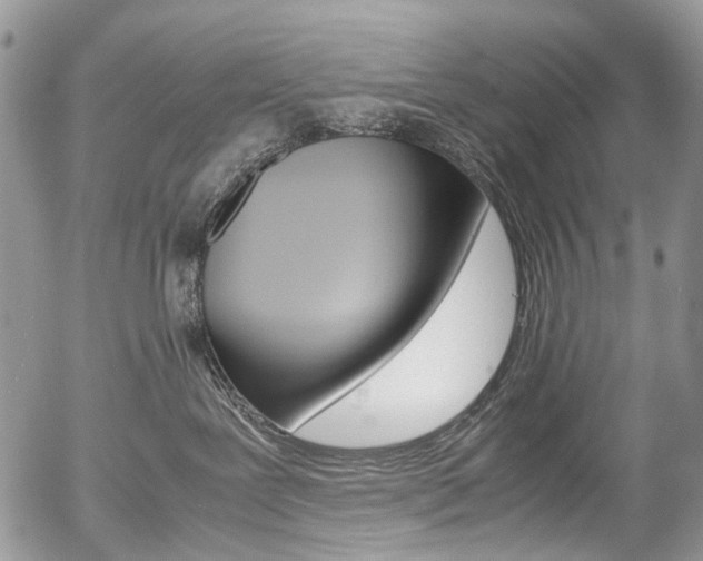 X0000054450239200507290959