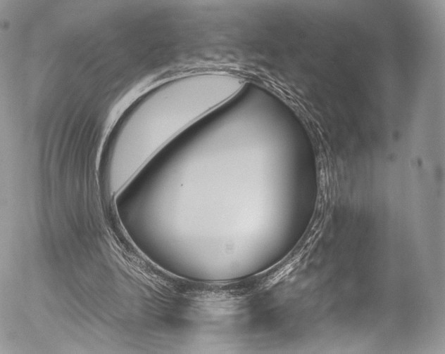 X0000054450246200507290958