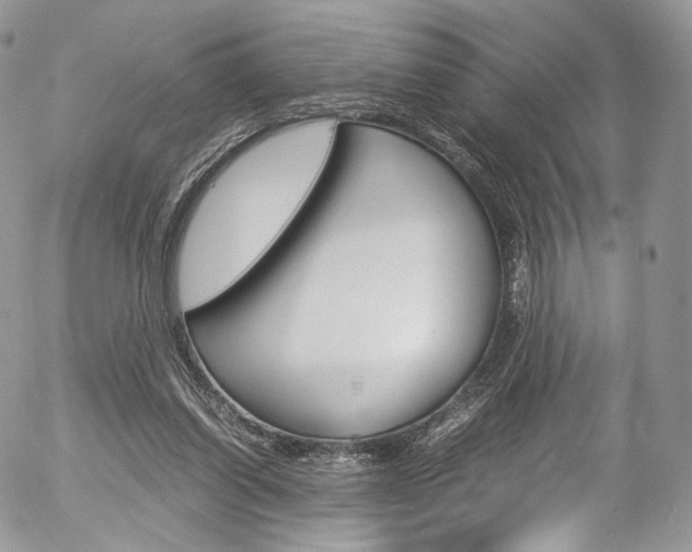 X0000054450254200507290958