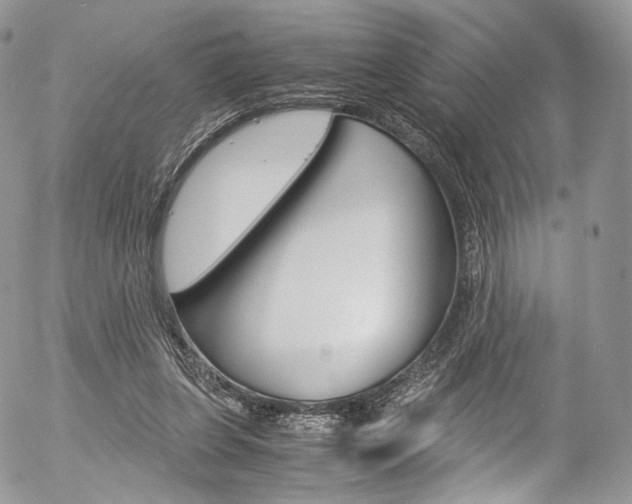 X0000054450255200507290958
