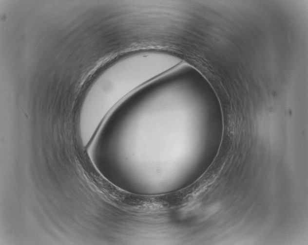 X0000054450256200507290958
