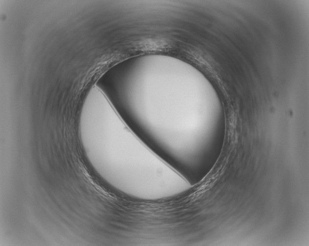X0000054450257200507290958
