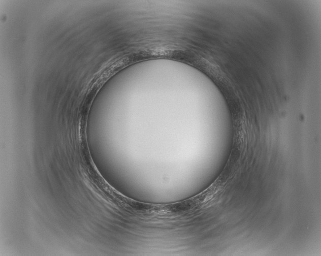X0000054450262200507290959