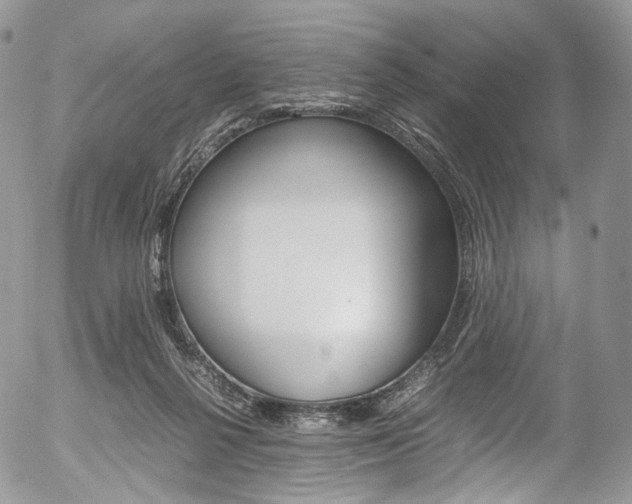 X0000054450264200507290959