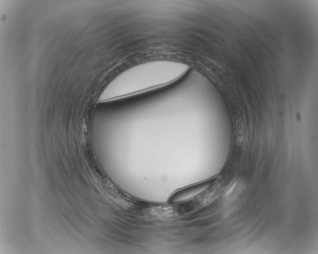 X0000054450279200507290959