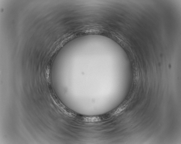 X0000054450281200507290959