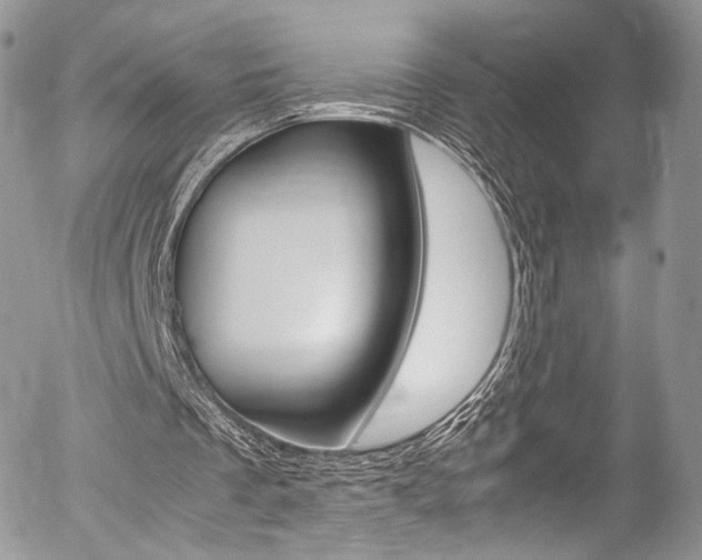 X0000054450289200507290958