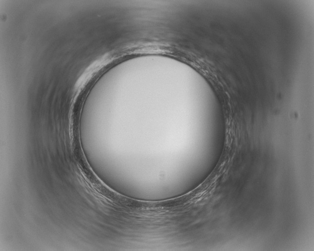 X0000054450296200507290958