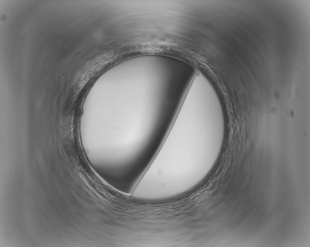 X0000054450299200507290958