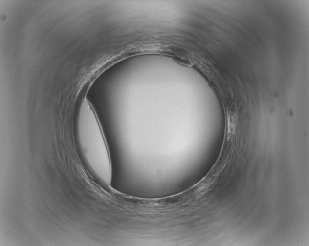 X0000054450301200507290958
