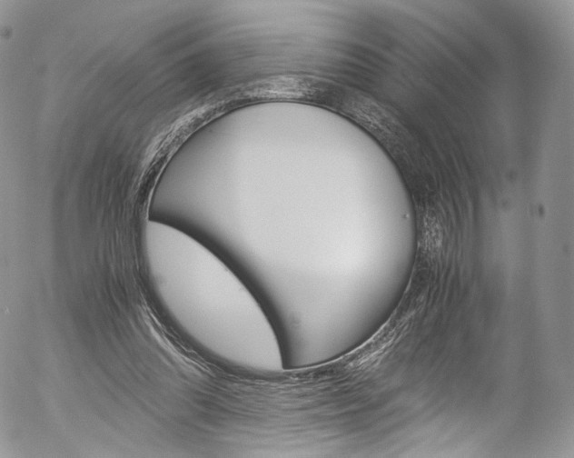 X0000054450302200507290958
