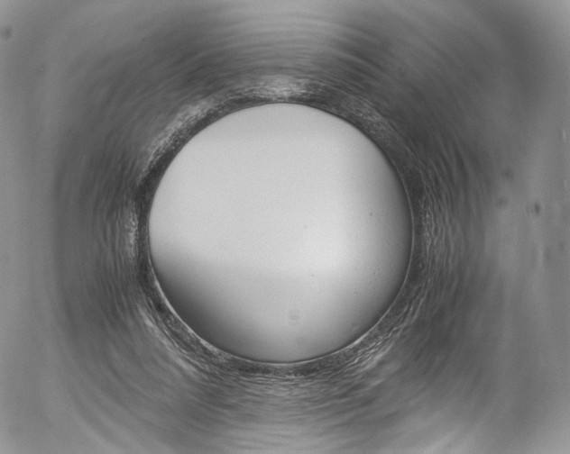 X0000054450304200507290958