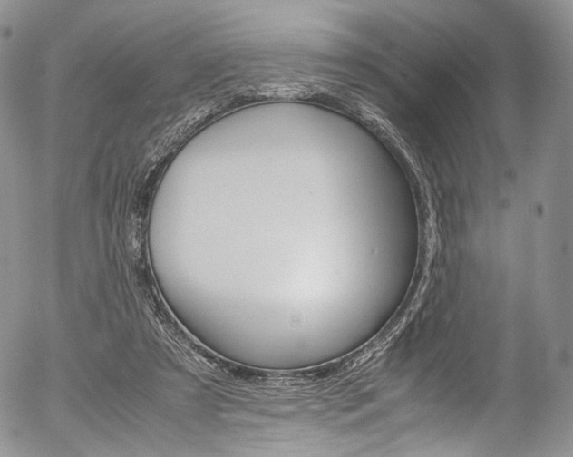 X0000054450305200507290958