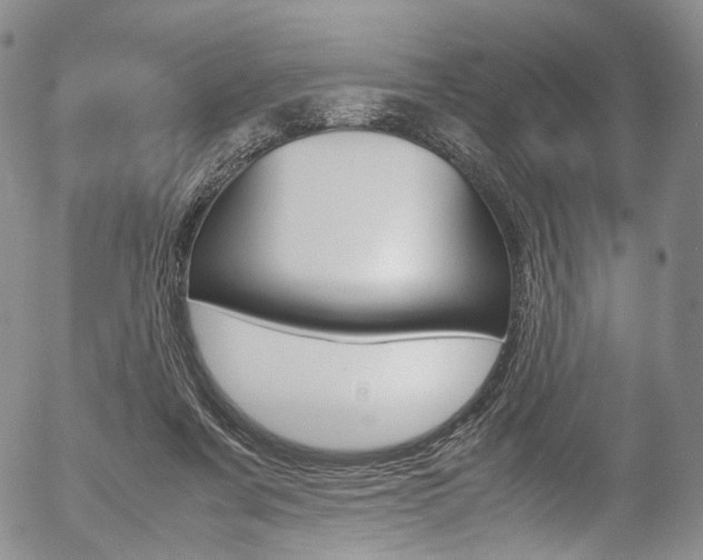 X0000054450311200507290958