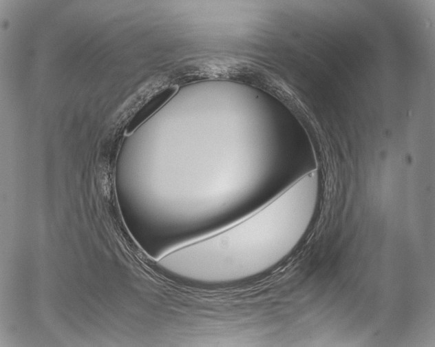 X0000054450313200507290958