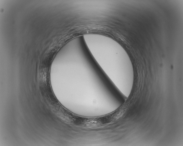 X0000054450315200507290958