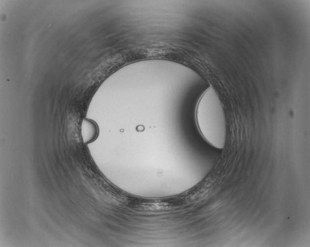 X0000054450316200507290958