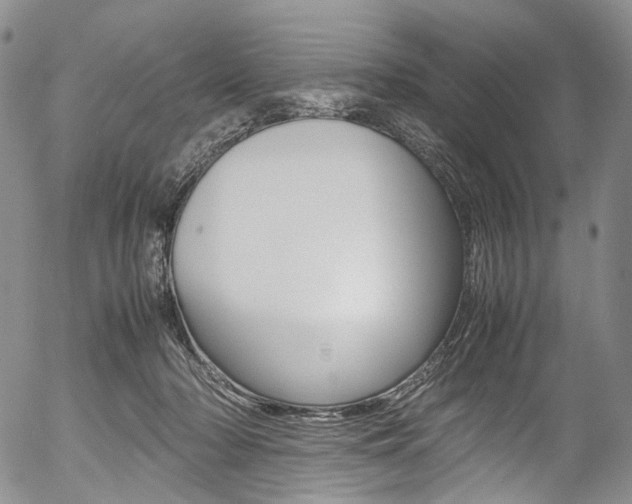 X0000054450318200507290958