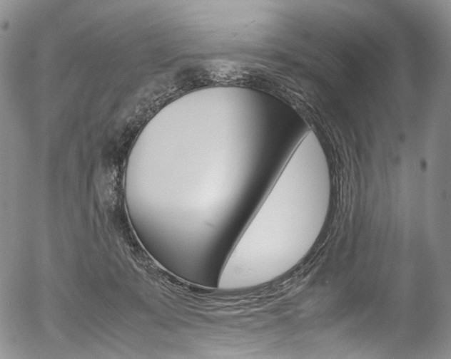 X0000054450319200507290958