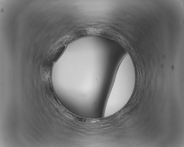 X0000054450329200507290958