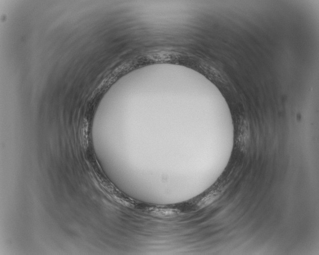 X0000054450332200507290958
