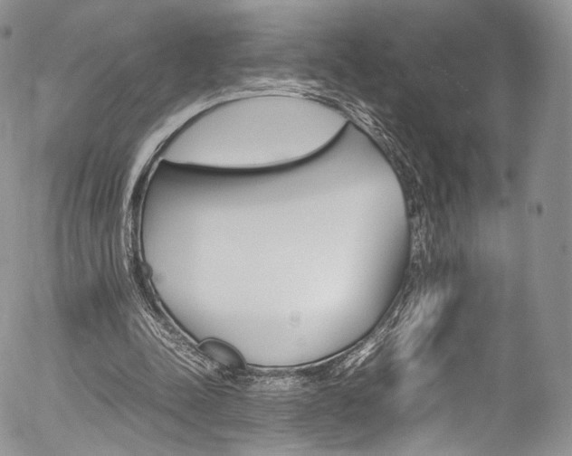 X0000054450342200507290957