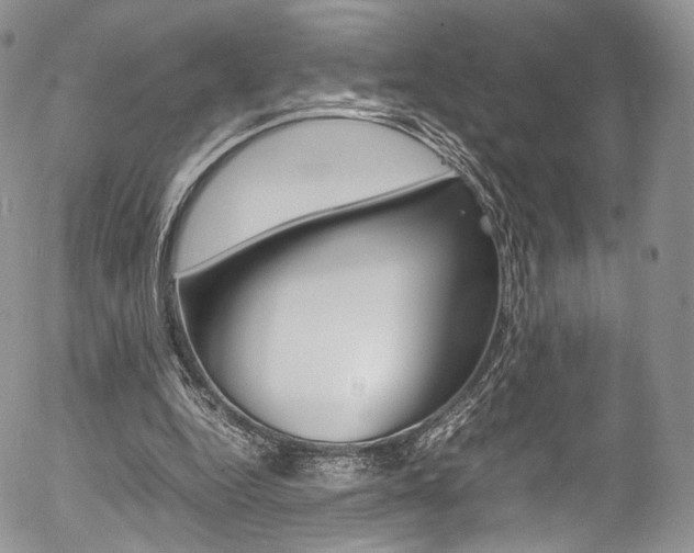 X0000054450344200507290957