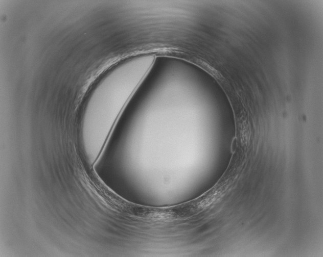 X0000054450350200507290957