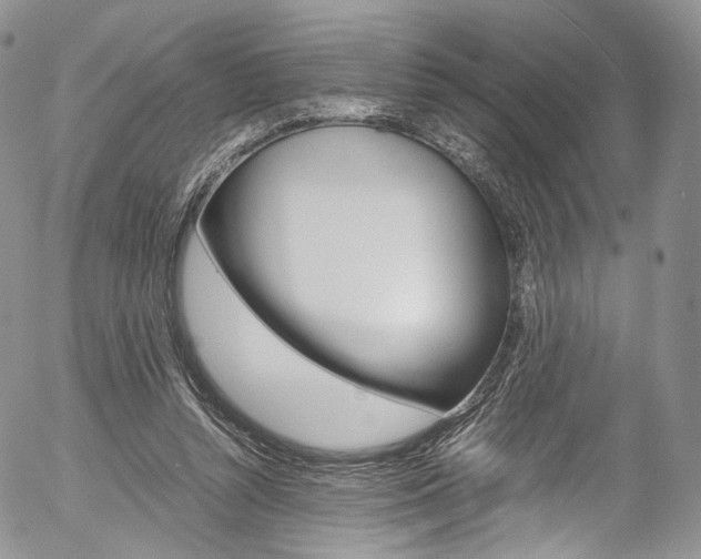 X0000054450352200507290957