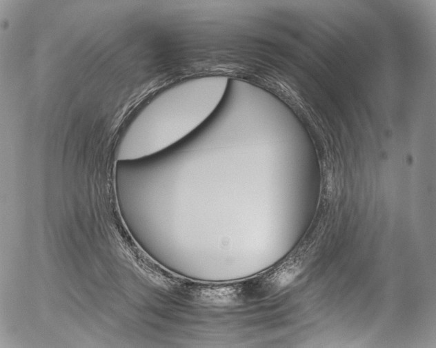 X0000054450357200507290957