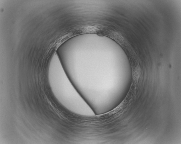 X0000054450360200507290957