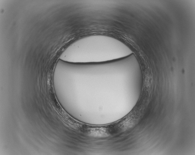 X0000054450363200507290957