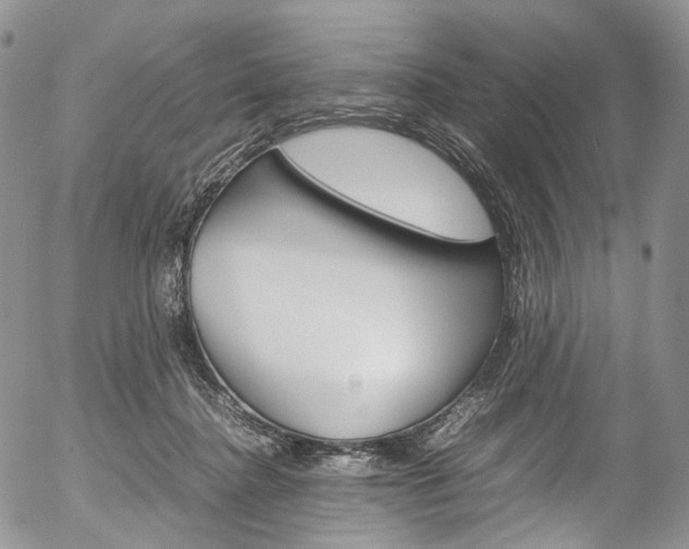X0000054450364200507290957