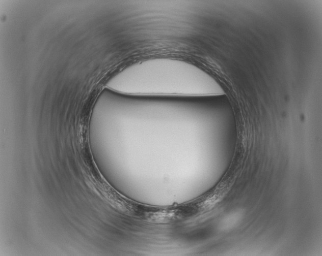 X0000054450366200507290957