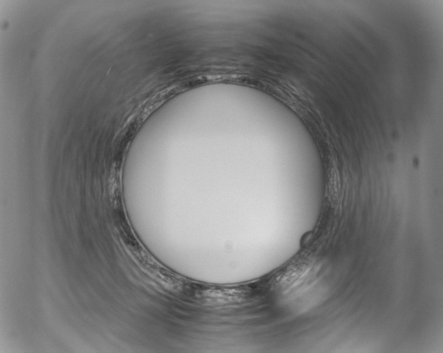 X0000054450367200507290957