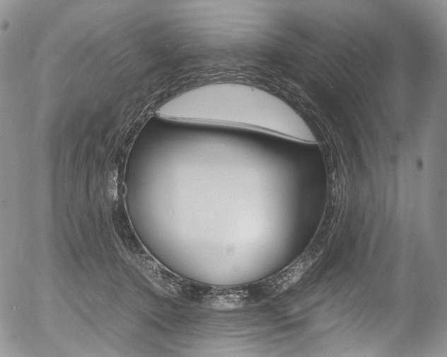 X0000054450368200507290957