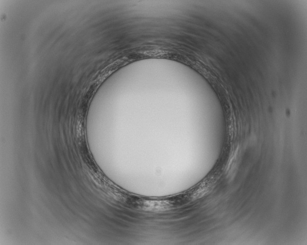 X0000054450371200507290957