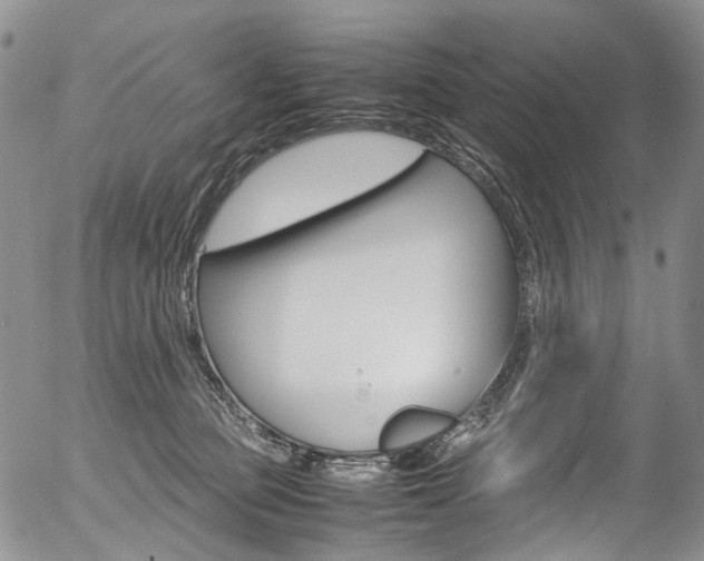 X0000054450373200507290957
