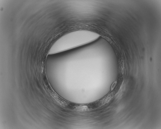 X0000054450374200507290957