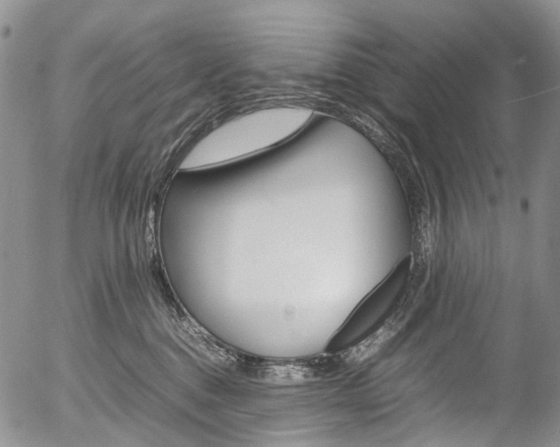 X0000054450376200507290957