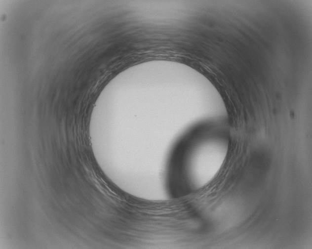 X0000054450380200507290957