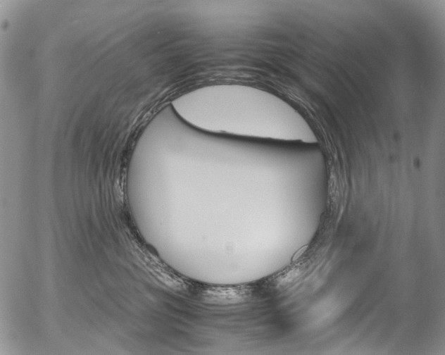 X0000054450381200507290957